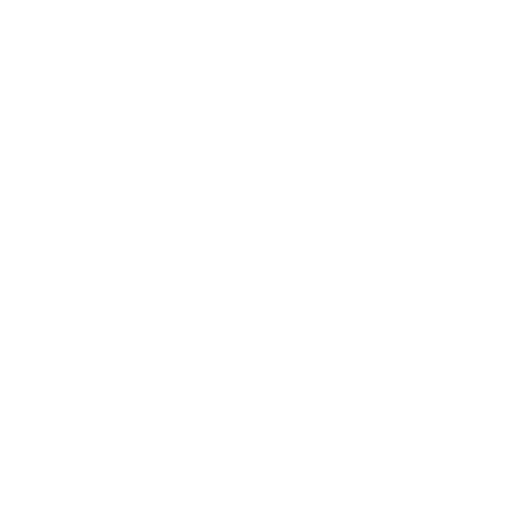 Globe icon representing international community
