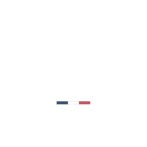 Citadelle Gin